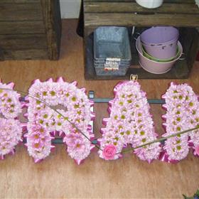 fwthumb2011 flower phtoos 402.jpg